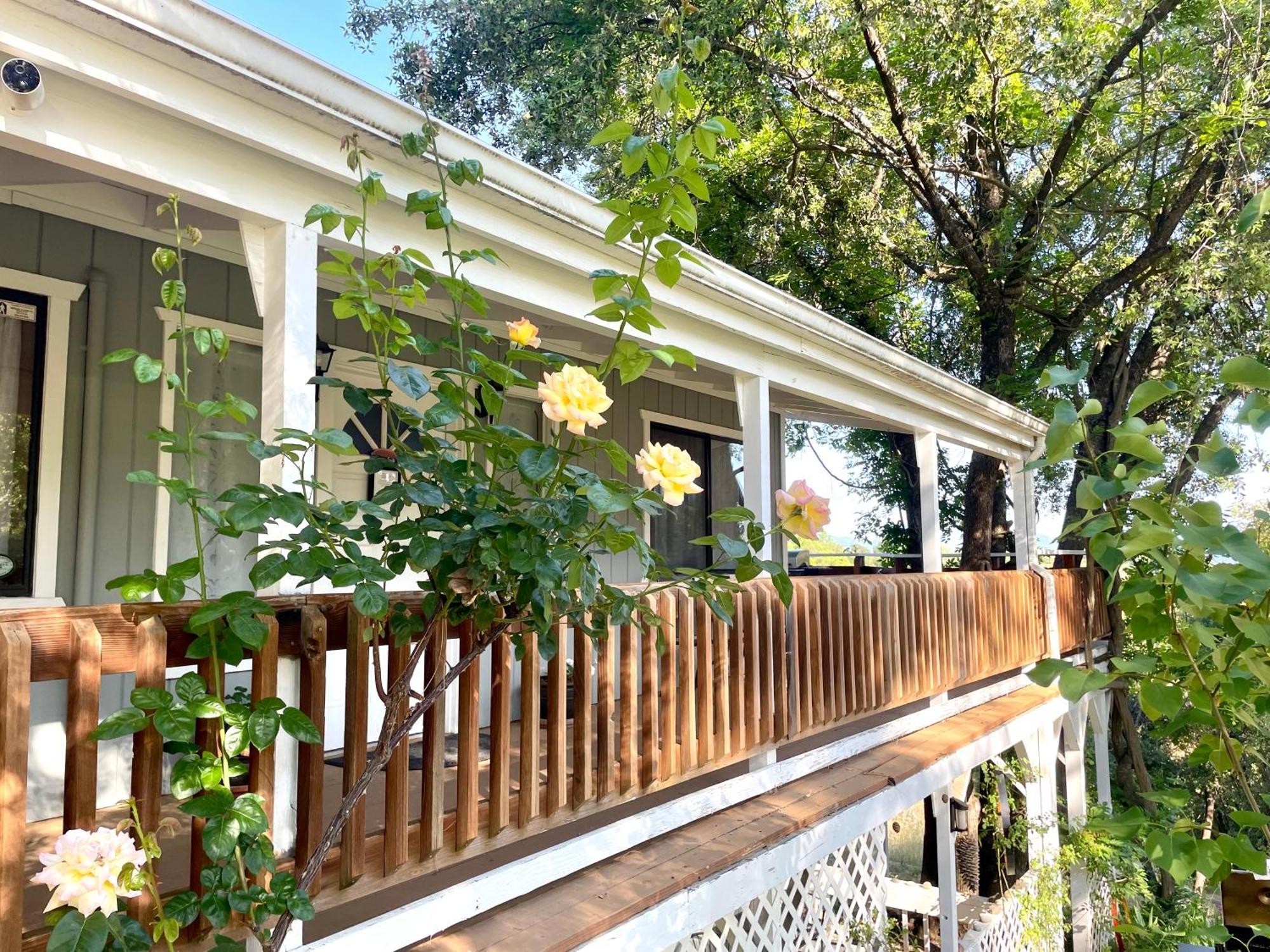 Sierra Mountain Lodge - Vacation Rentals - Yosemite 阿赫瓦尼 外观 照片