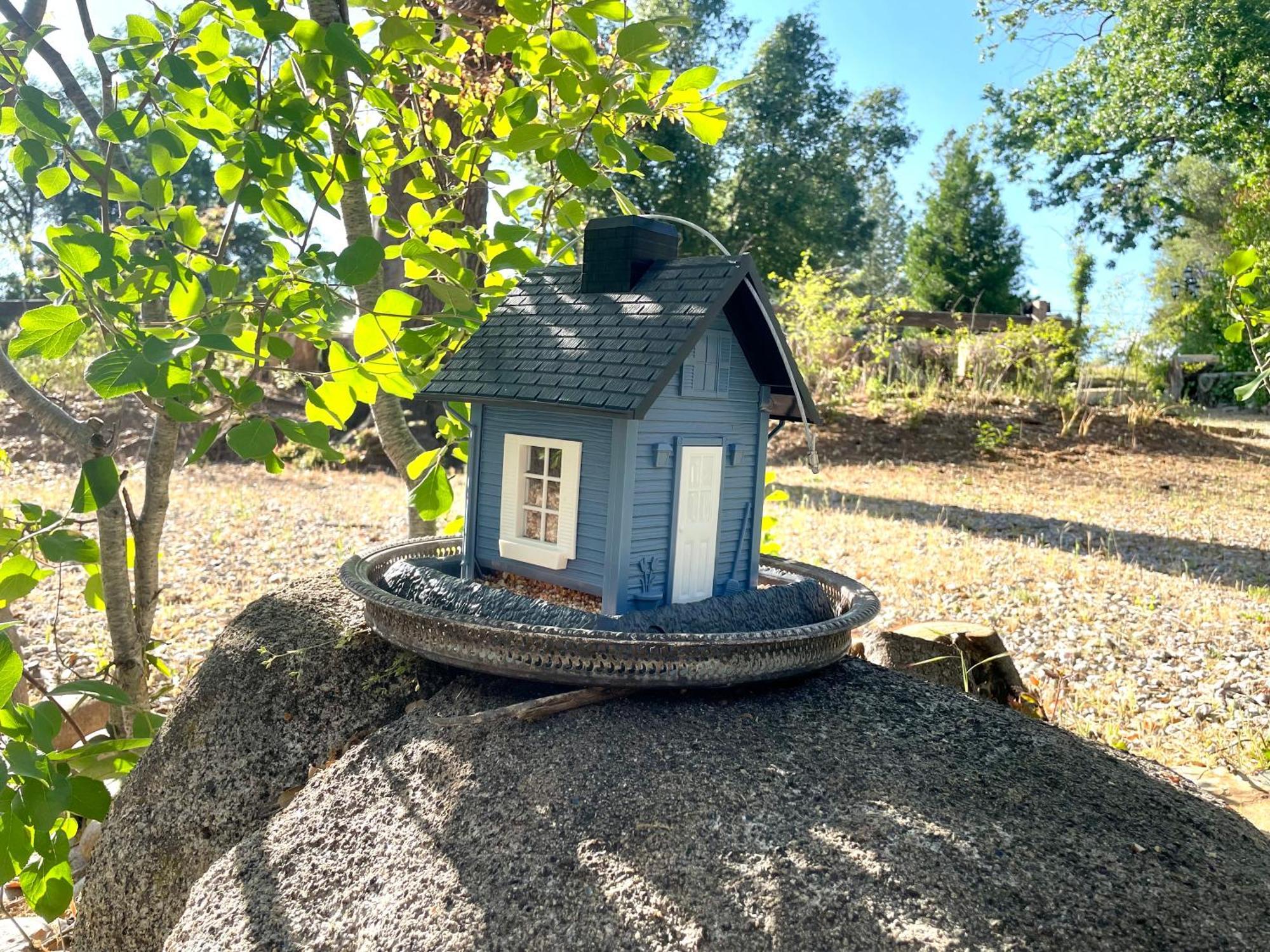 Sierra Mountain Lodge - Vacation Rentals - Yosemite 阿赫瓦尼 外观 照片