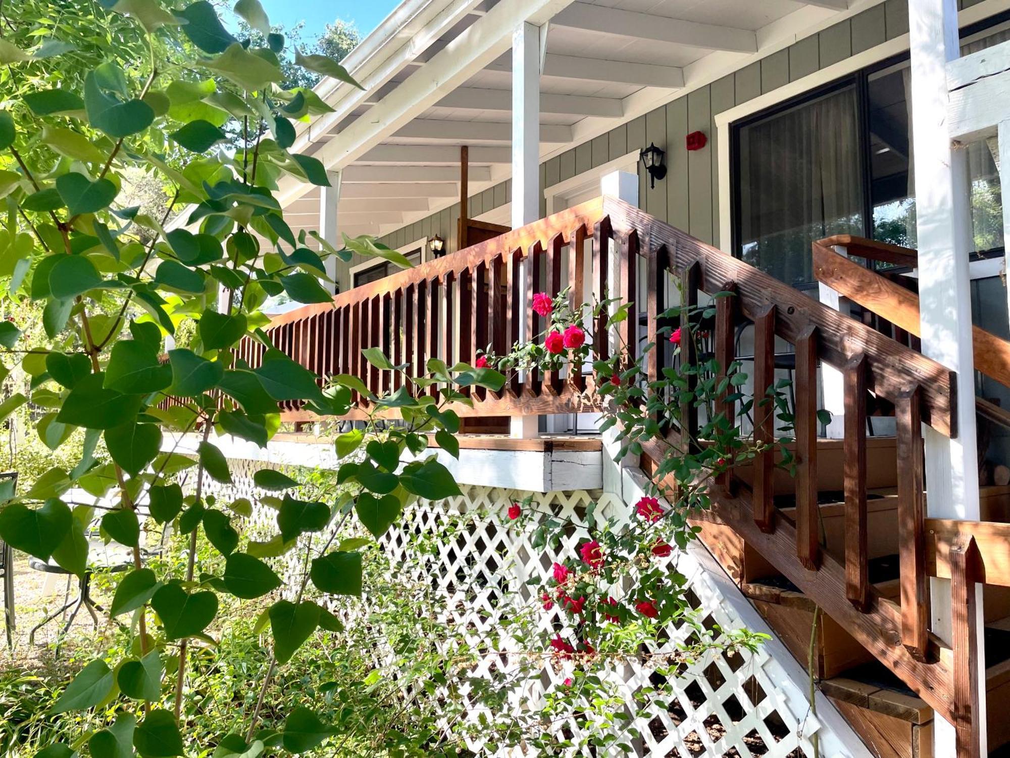 Sierra Mountain Lodge - Vacation Rentals - Yosemite 阿赫瓦尼 外观 照片