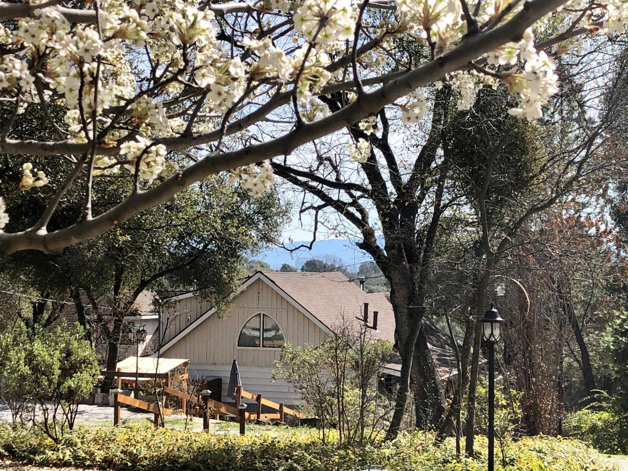 Sierra Mountain Lodge - Vacation Rentals - Yosemite 阿赫瓦尼 外观 照片